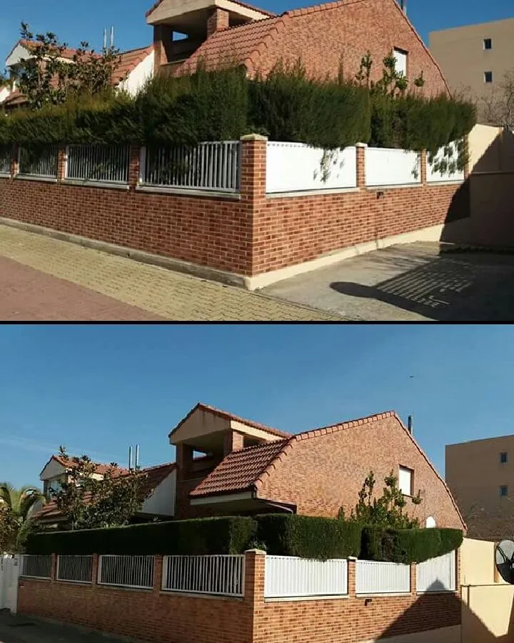 SnapInsta.to_19436273_401710660230074_6722672425915383808_n antes y después de la poda