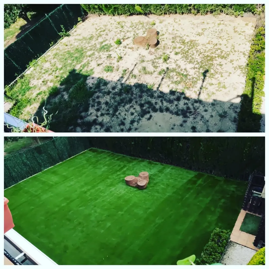 SnapInsta.to_358540841_698859262070134_6118734327426203386_n antes y despues